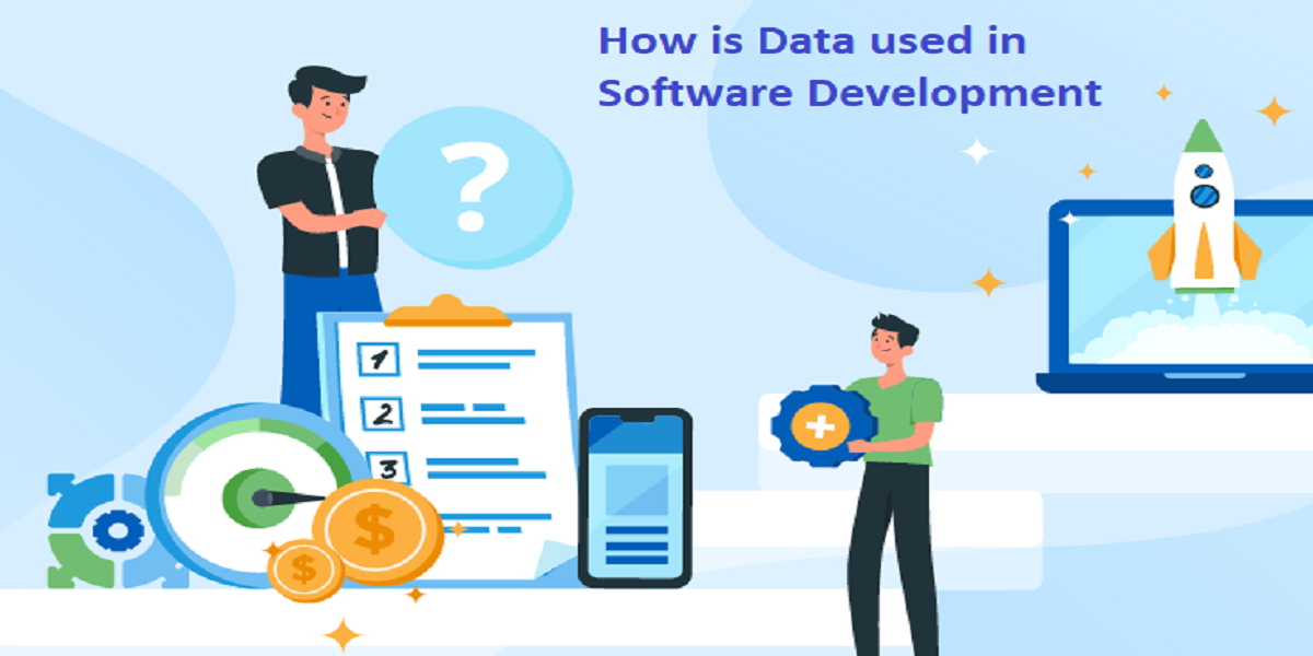 data in software