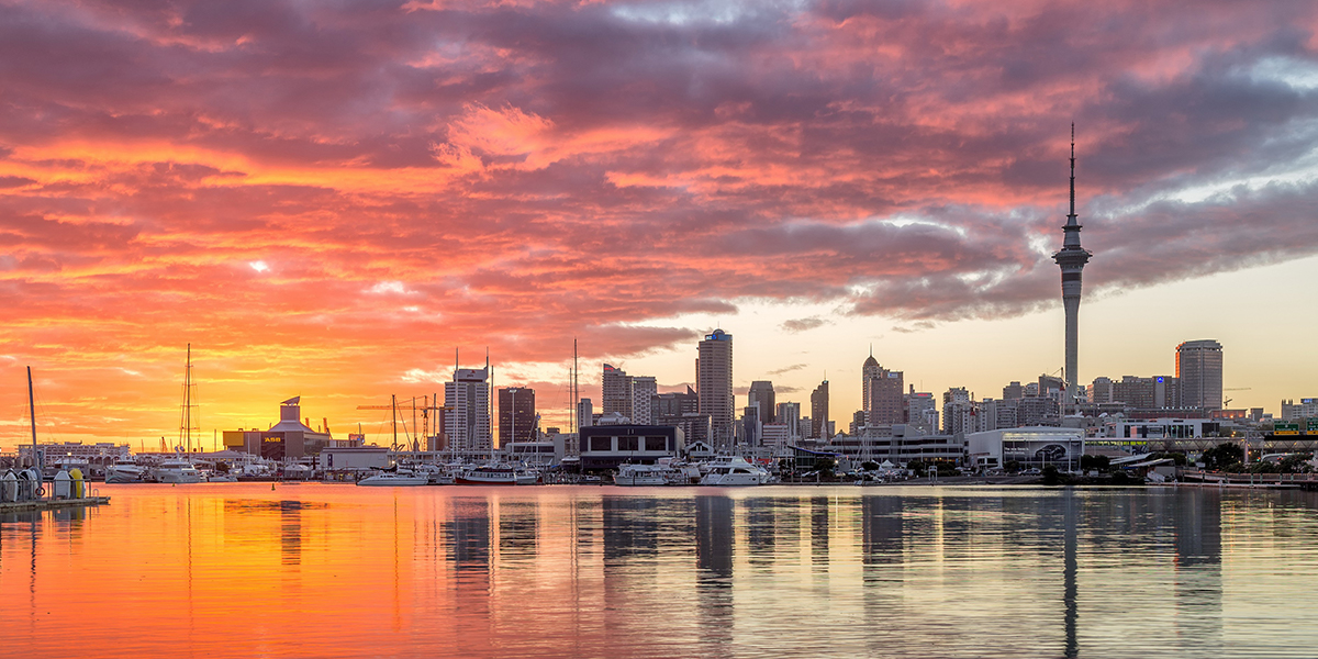 Mobile App Developers New Zealand mobile app developers new zealand