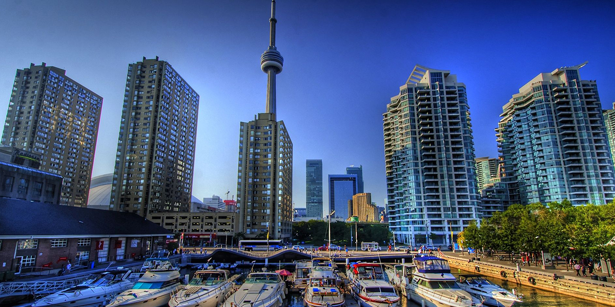 Mobile App Developers Toronto mobile app developers toronto