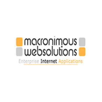 macronimous web solutions