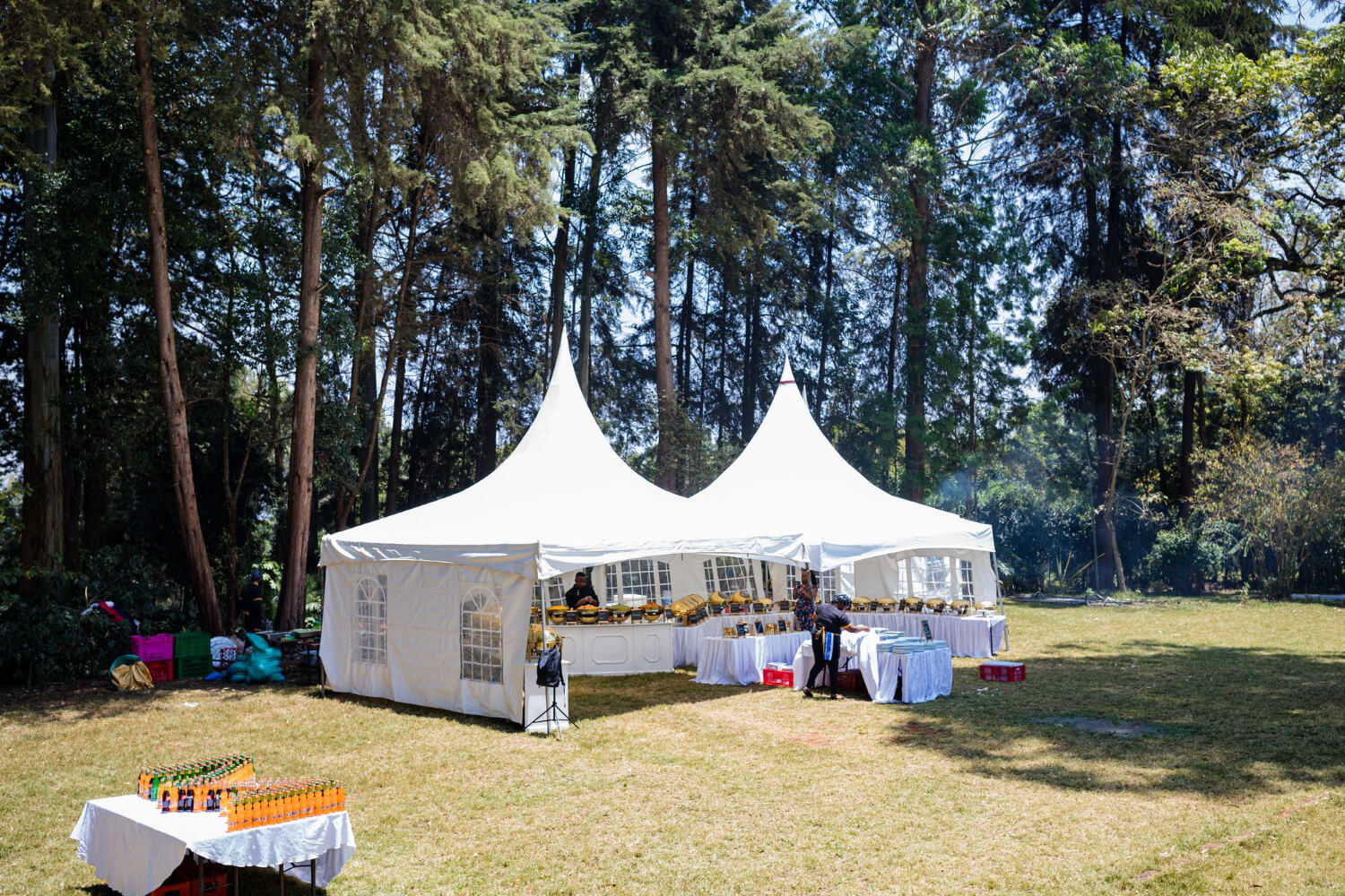 top canopy tent printing companies martinique
