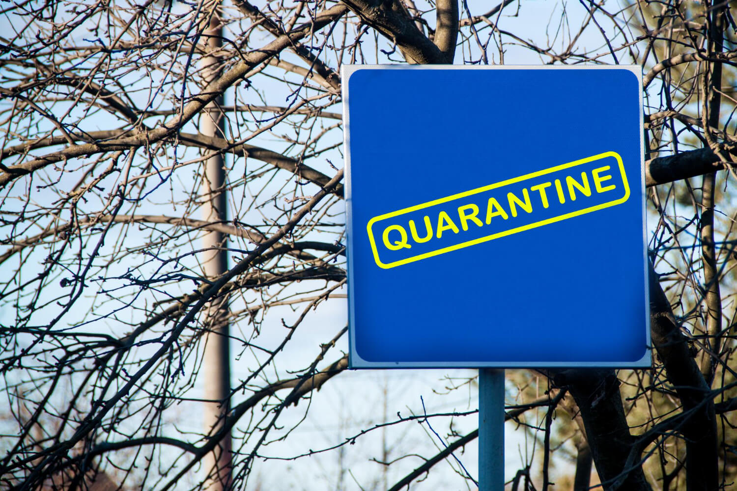 top custom rigid signs printing companies tampa