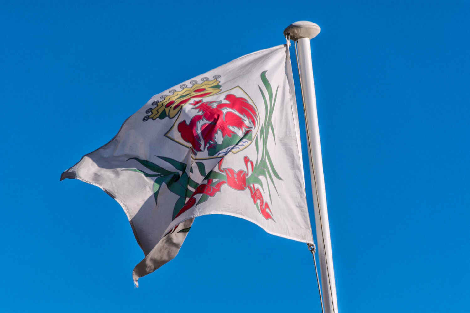 top pre-printed flags printing companies dubai